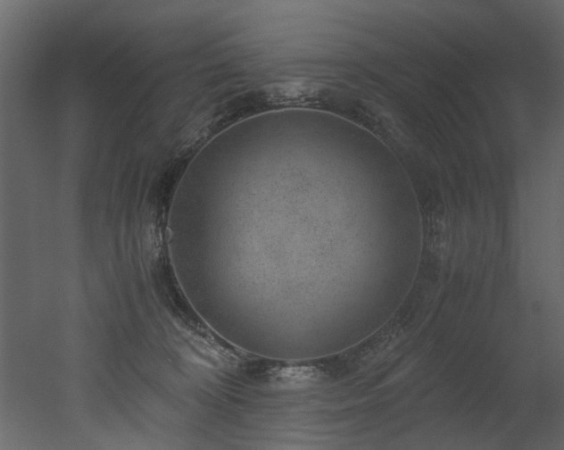 X0000051880324200506241420