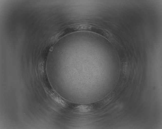 X0000051880326200506241420