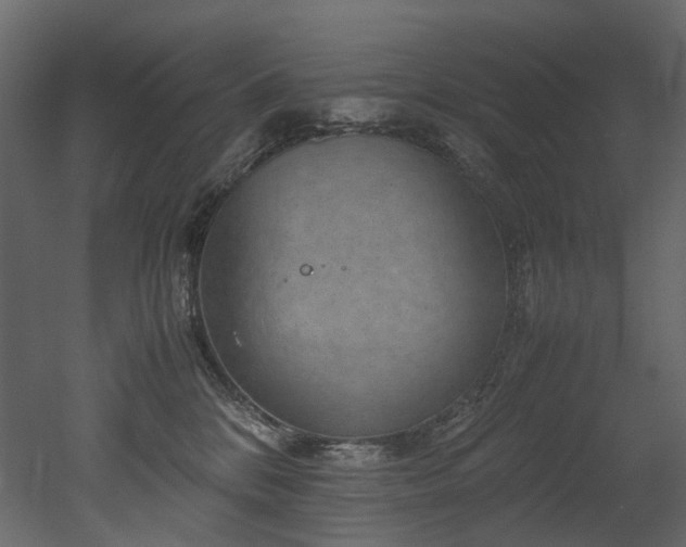 X0000051880328200506241420