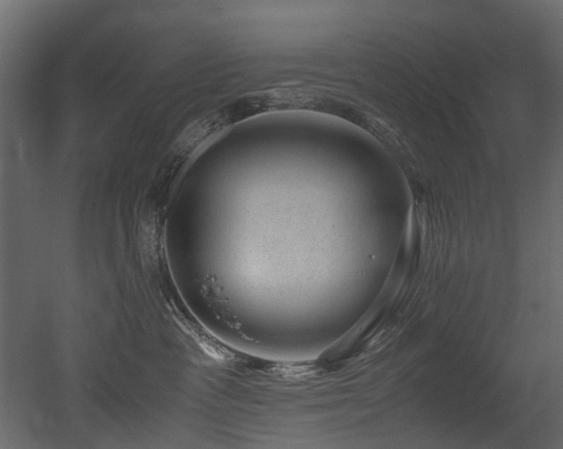 X0000051880333200506241420