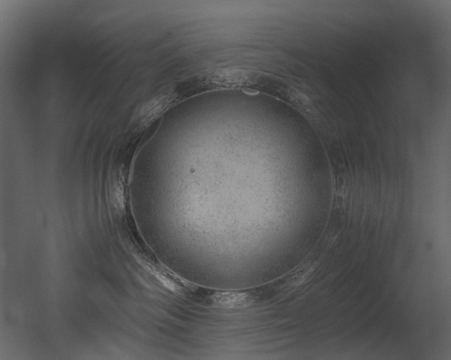 X0000051880334200506241420