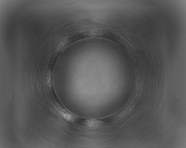 X0000051880336200506241420