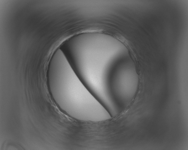 X0000051880337200506241419