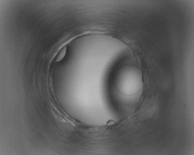 X0000051880338200506241419