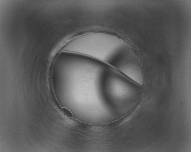X0000051880341200506241419