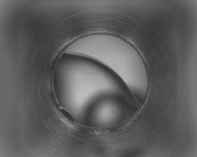 X0000051880345200506241419