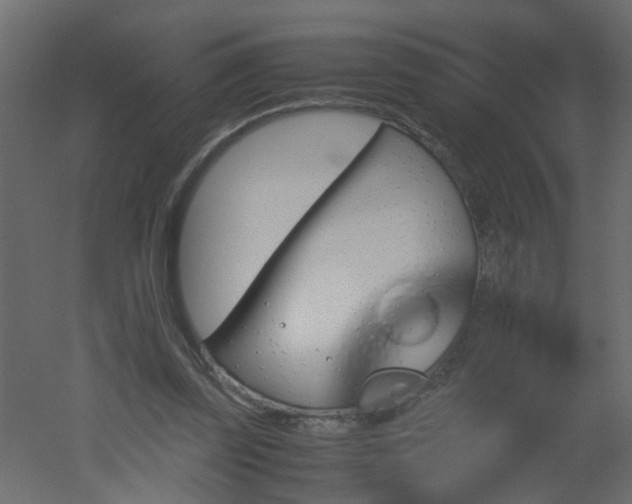 X0000051880347200506241419