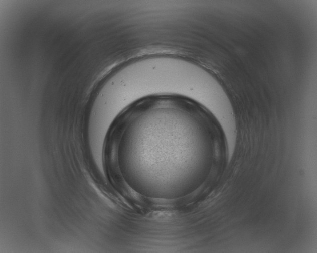 X0000051880352200506241419