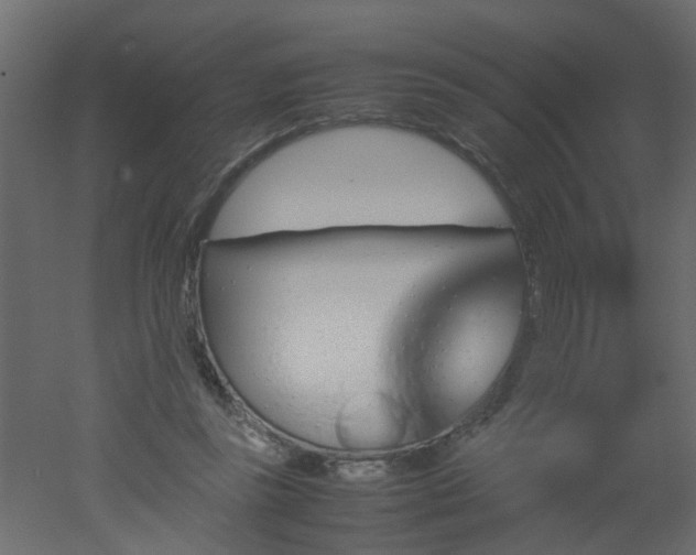 X0000051880355200506241419