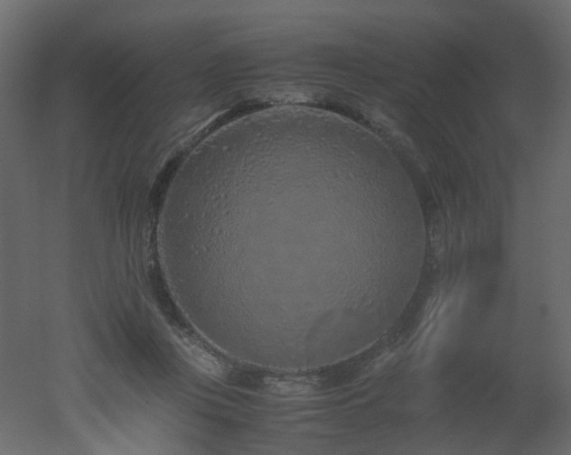 X0000051880359200506241419