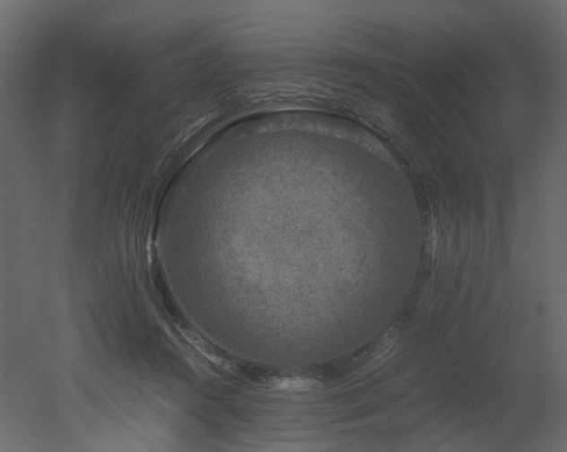 X0000051880360200506241419