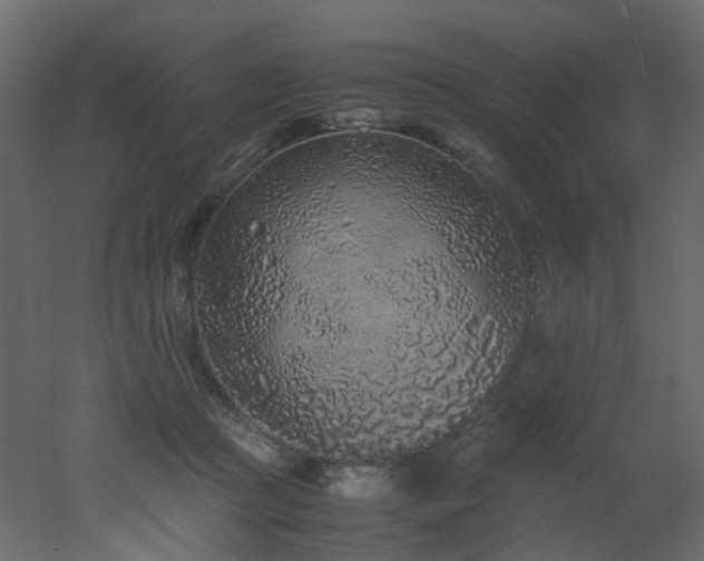 X0000051880361200506241419