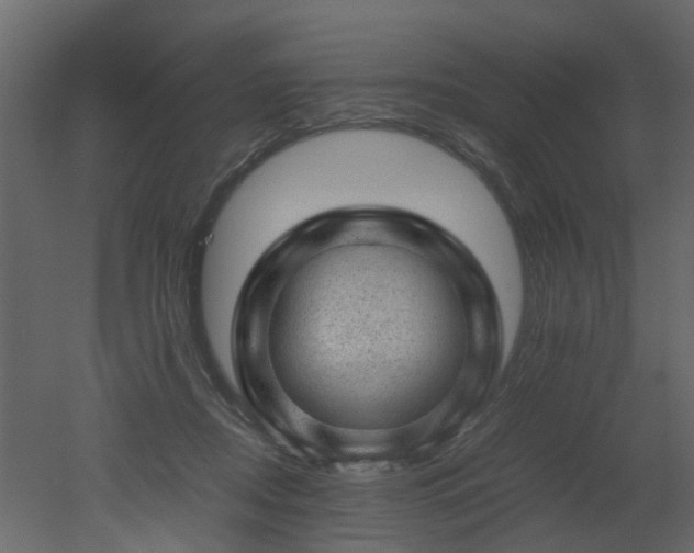 X0000051880362200506241419