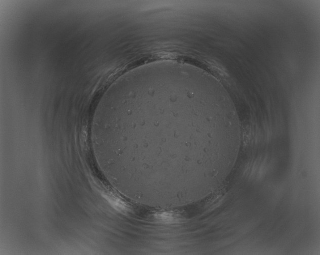 X0000051880365200506241420