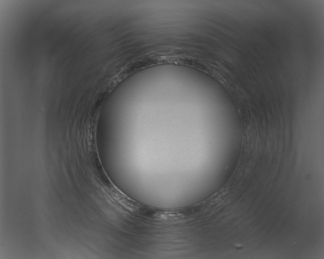 X0000051880372200506241420
