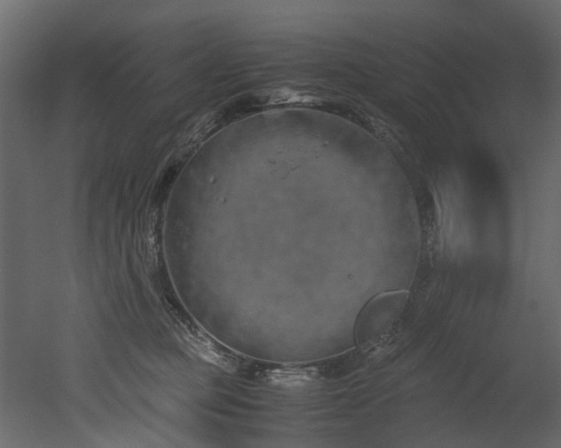 X0000051880373200506241420