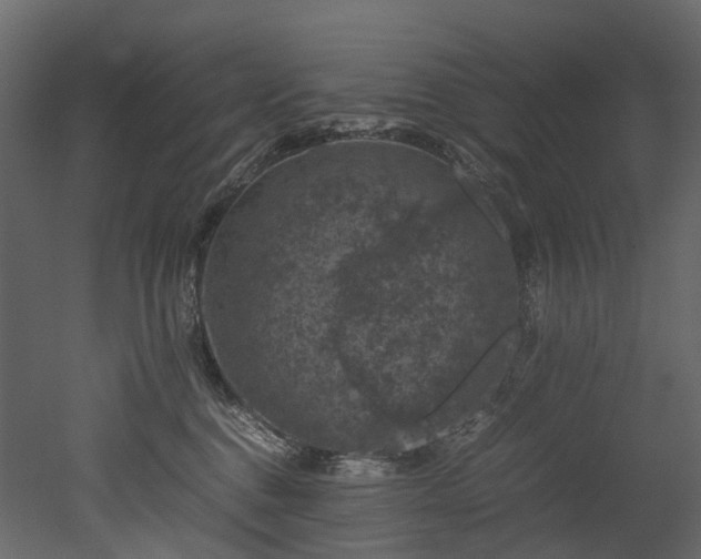 X0000051880376200506241420