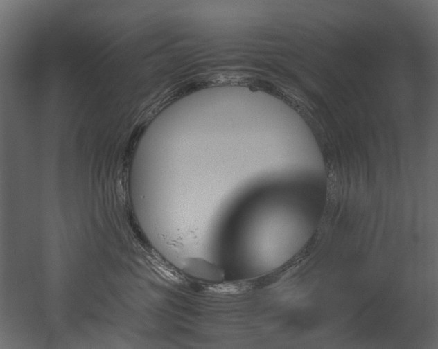 X0000051880381200506241420