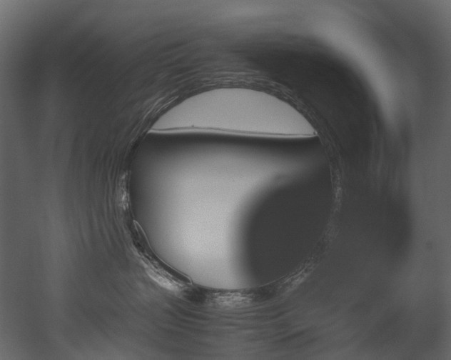 X0000051880383200506241420