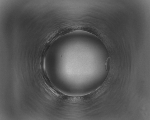 X0000051880384200506241420