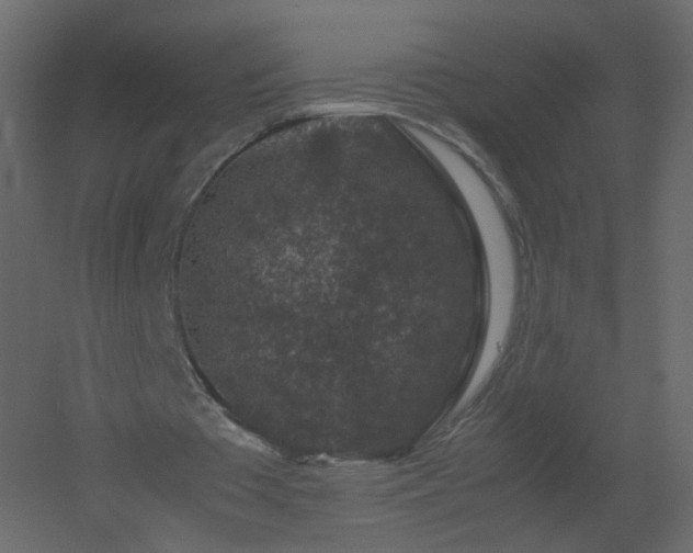 X0000051880385200506241419