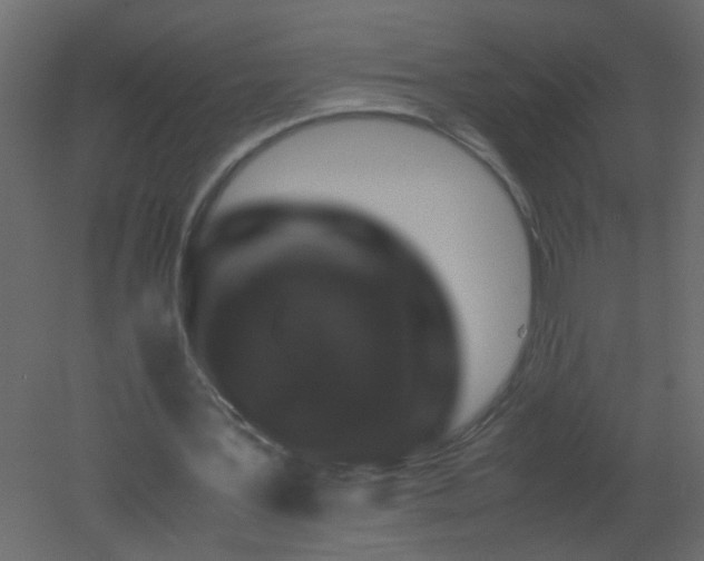 X0000051880387200506241419