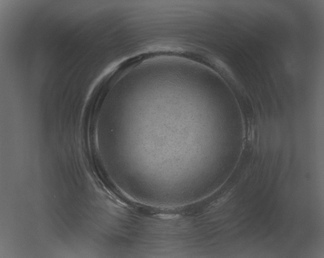 X0000051880388200506241419