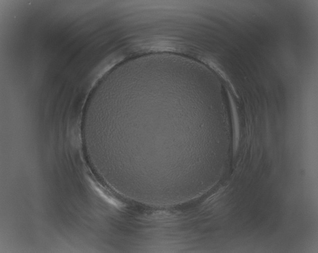 X0000051880390200506241419
