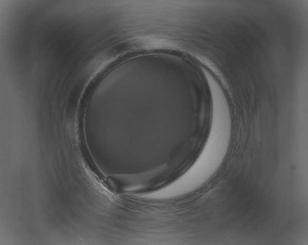 X0000051880391200506241419