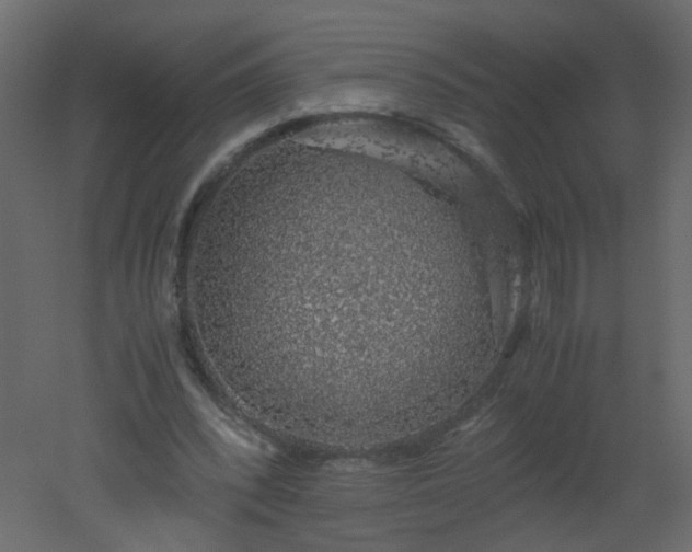 X0000051880392200506241419