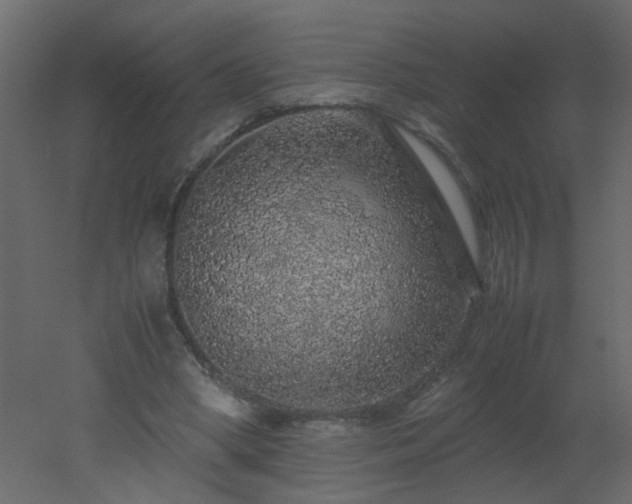 X0000051880394200506241419
