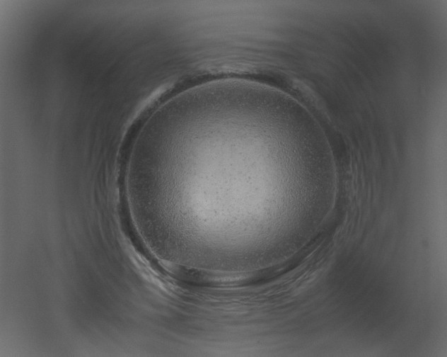 X0000051880395200506241419