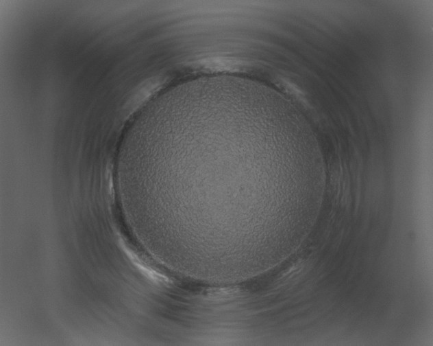 X0000051880398200506241419
