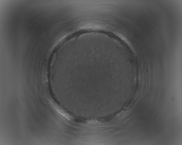 X0000051880399200506241419