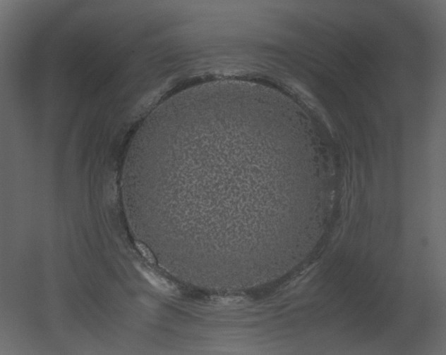X0000051880401200506241419