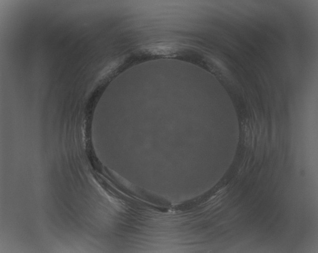 X0000051880404200506241419