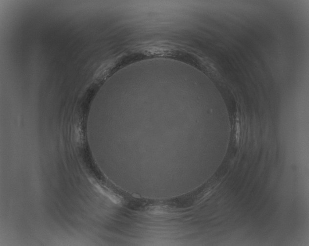 X0000051880408200506241419