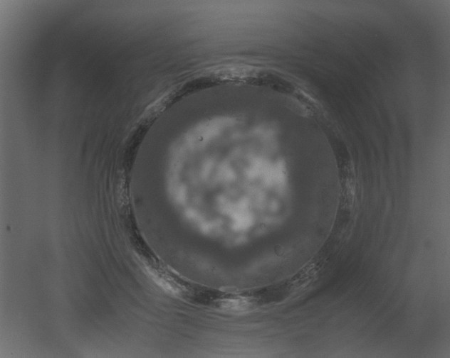 X0000051880411200506241419