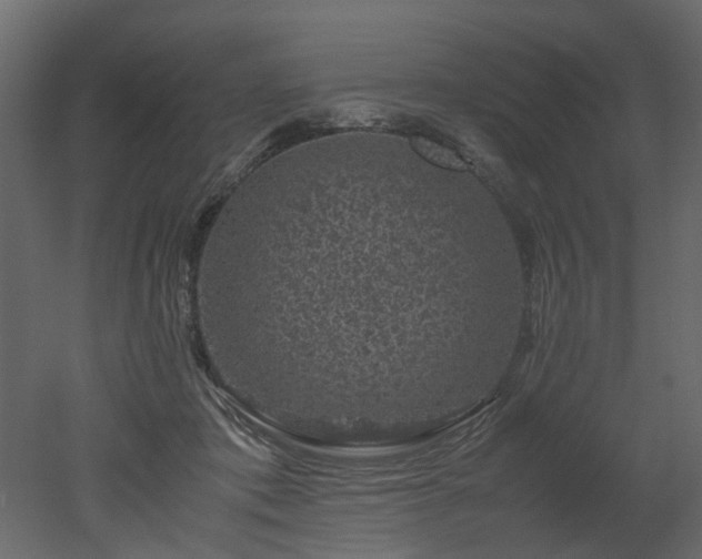 X0000051880413200506241419