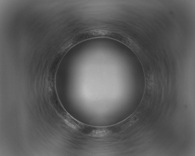X0000051880414200506241419