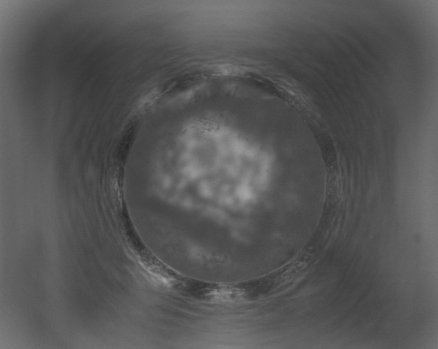X0000051880415200506241419
