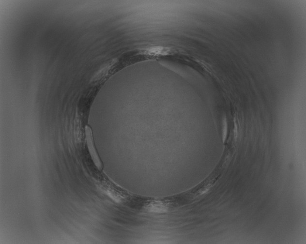 X0000051880416200506241419