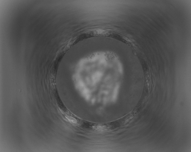 X0000051880419200506241418