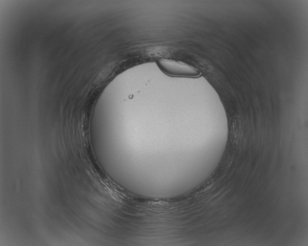X0000051880424200506241418