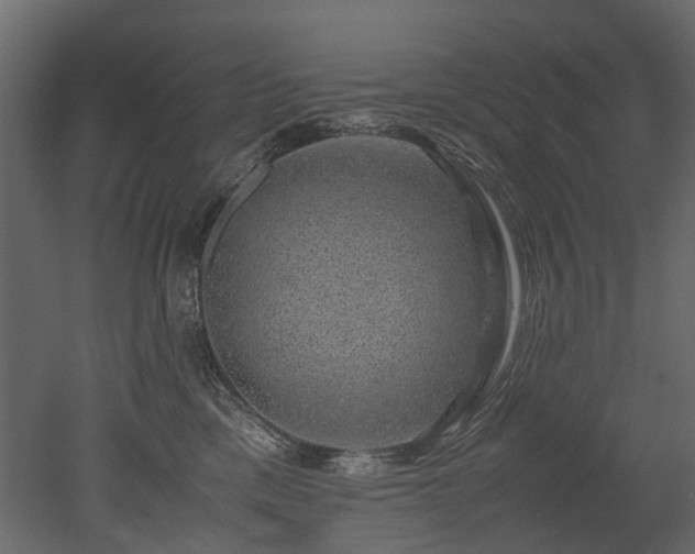 X0000051880425200506241418