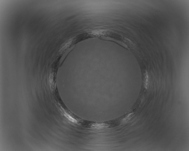 X0000051880428200506241418