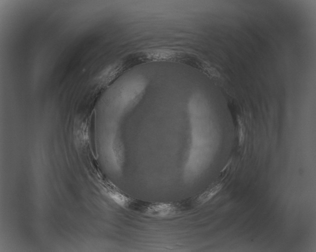 X0000051880431200506241418