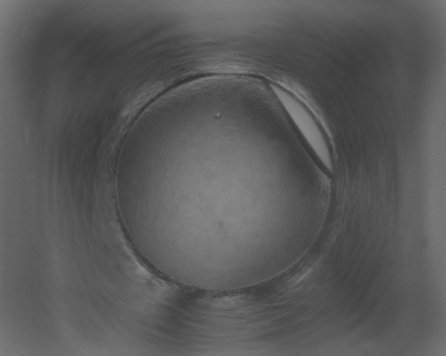 X0000051880433200506241417