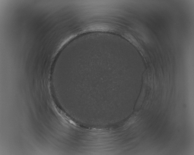 X0000051880434200506241417
