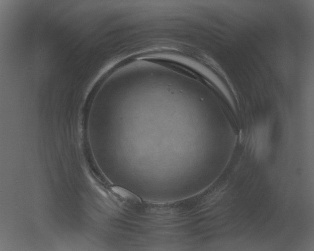 X0000051880435200506241417